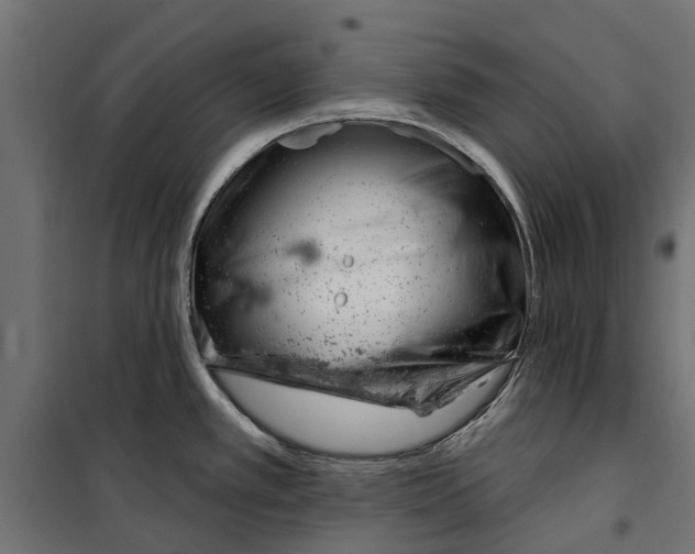 X0000099971389200806201351