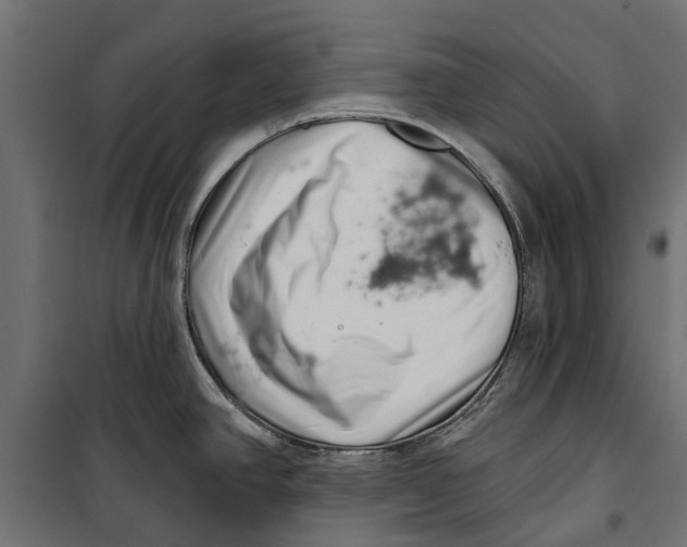 X0000099971390200806201351