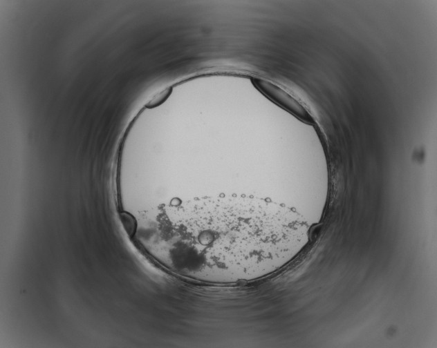 X0000099971391200806201350