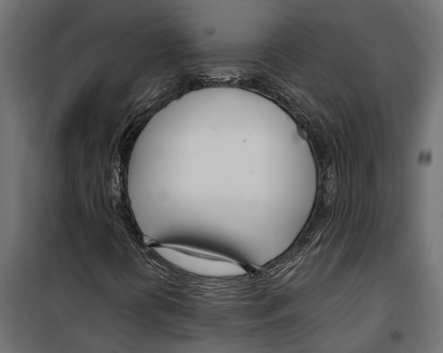 X0000099971394200806201350