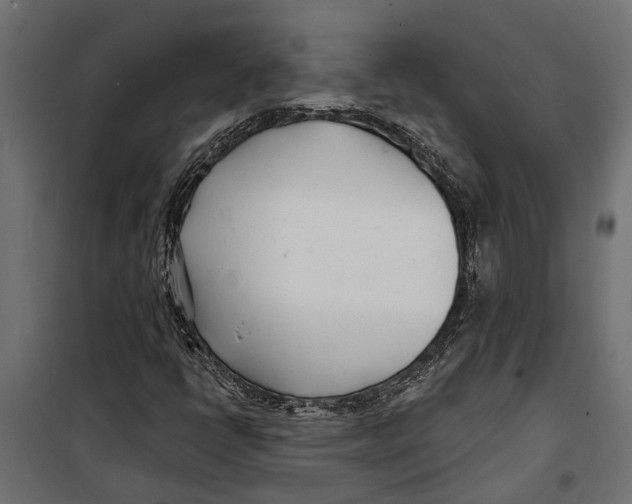 X0000099971398200806201350