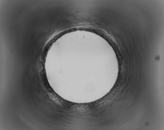 X0000099971400200806201350