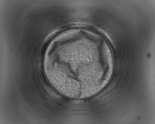 X0000099971403200806201350