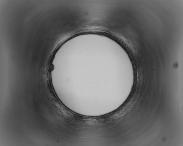 X0000099971405200806201350