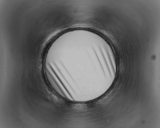 X0000099971406200806201350