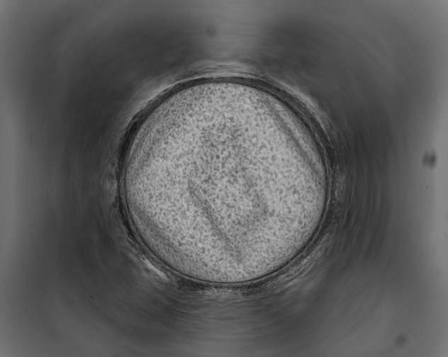 X0000099971407200806201350