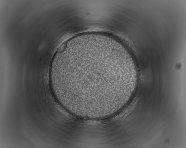 X0000099971409200806201350