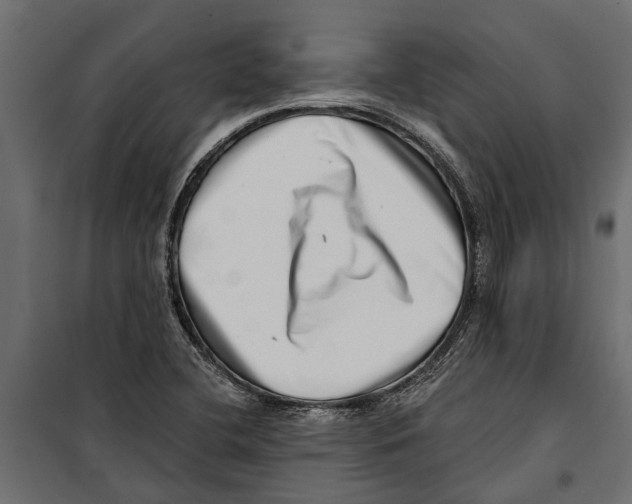 X0000099971412200806201350