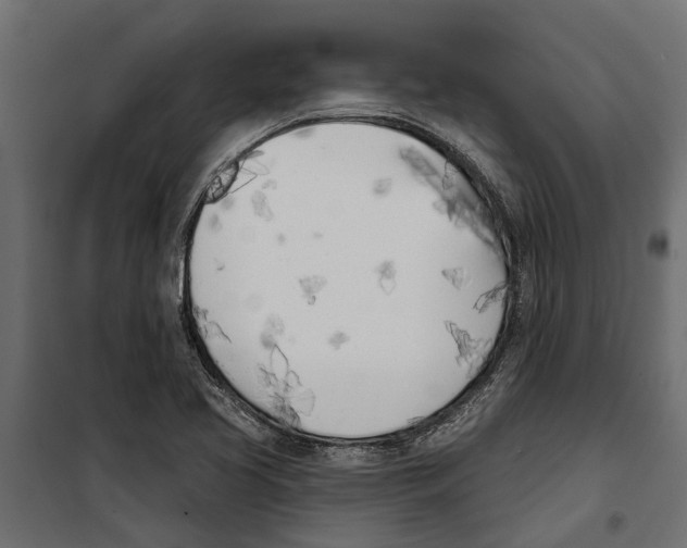 X0000099971413200806201350