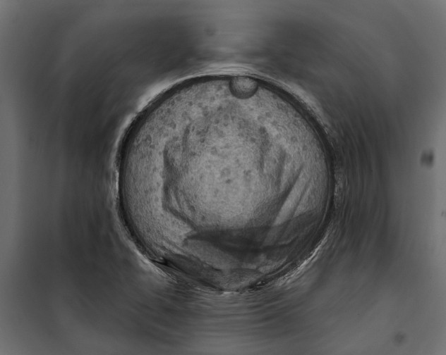 X0000099971414200806201350