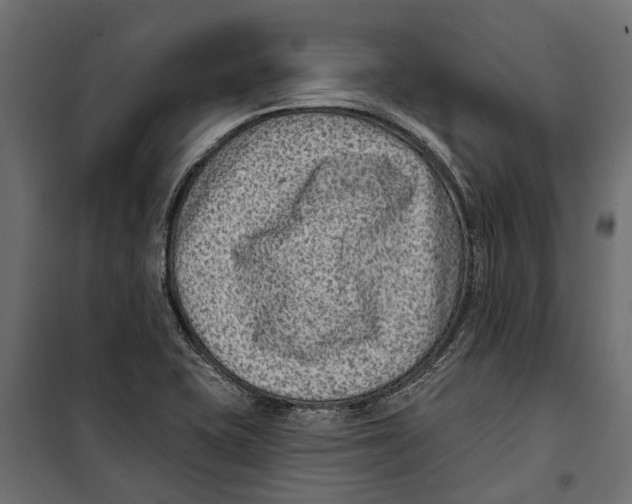 X0000099971415200806201350