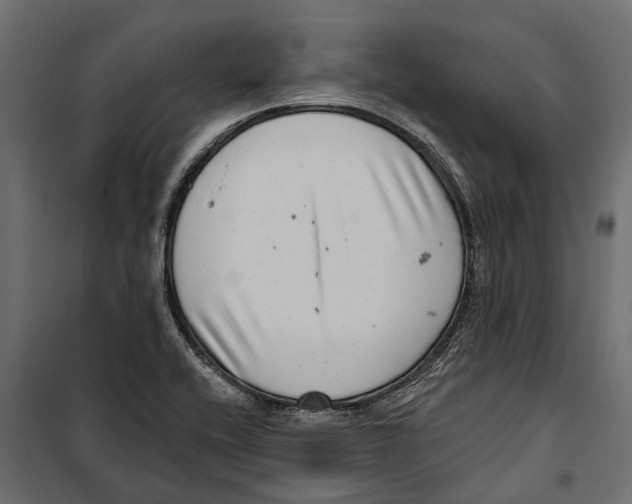 X0000099971416200806201350