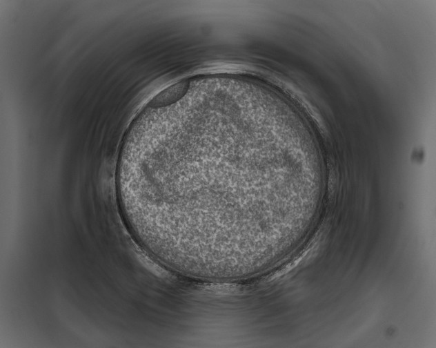 X0000099971417200806201350