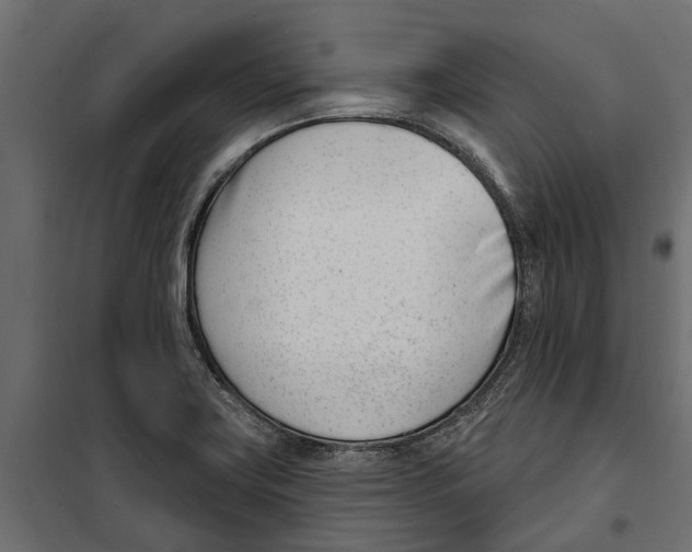 X0000099971419200806201350