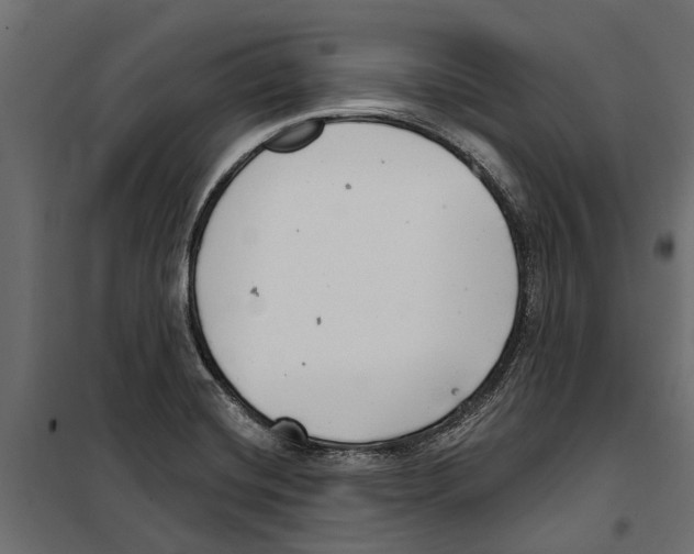 X0000099971420200806201350