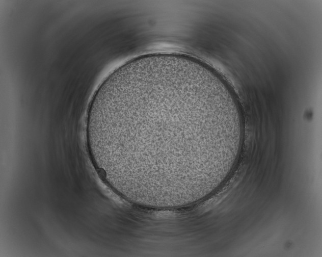 X0000099971421200806201350