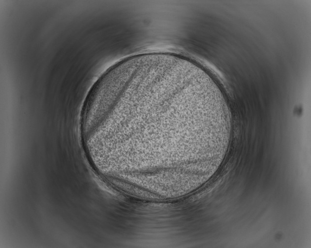 X0000099971423200806201350