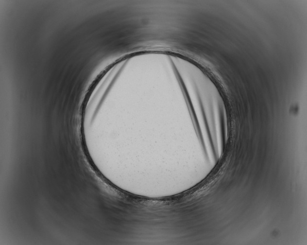 X0000099971424200806201350