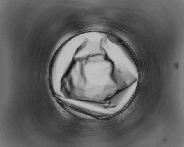 X0000099971426200806201350