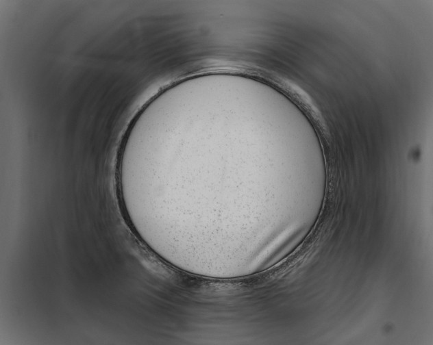 X0000099971427200806201350