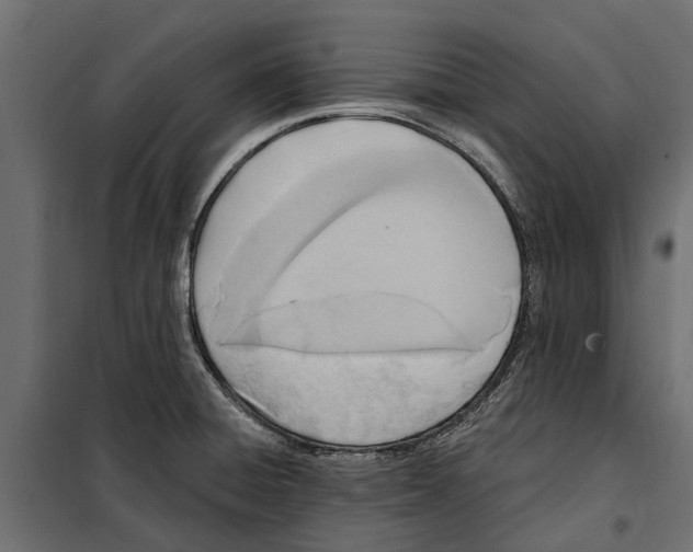 X0000099971428200806201350