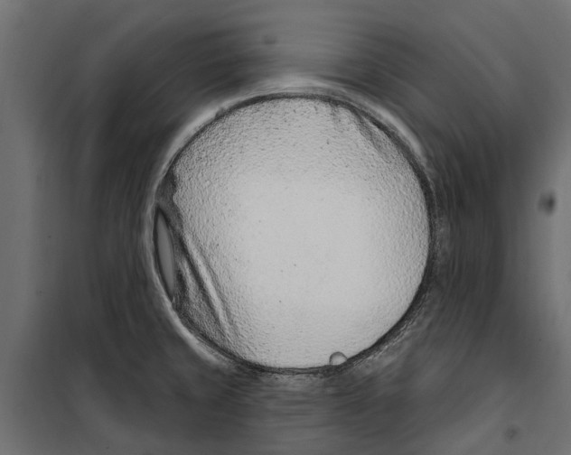 X0000099971429200806201350