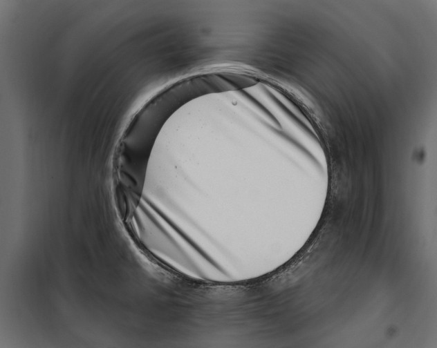 X0000099971430200806201350