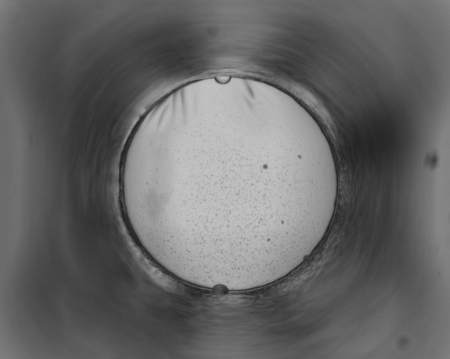 X0000099971431200806201350