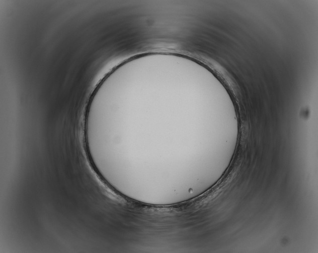 X0000099971432200806201350