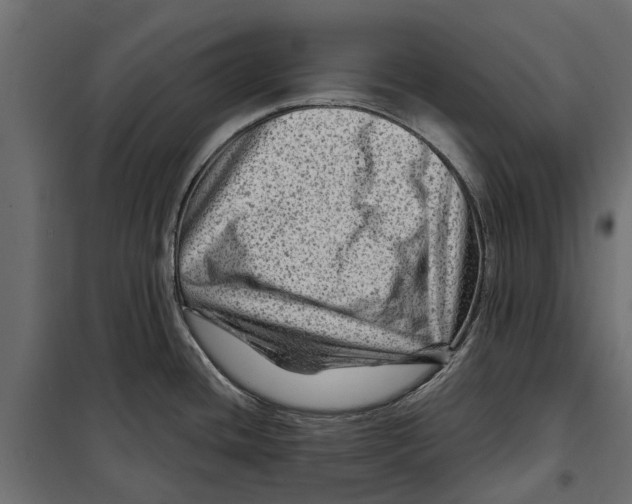 X0000099971436200806201350