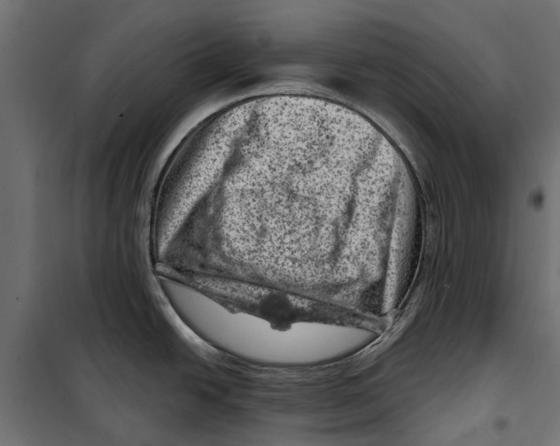 X0000099971438200806201350