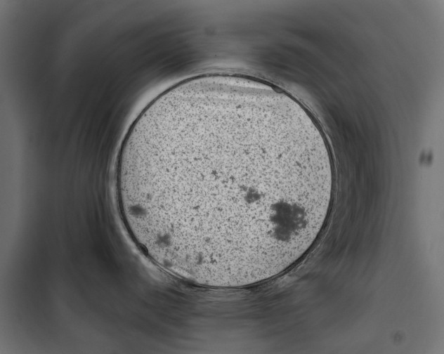 X0000099971440200806201350