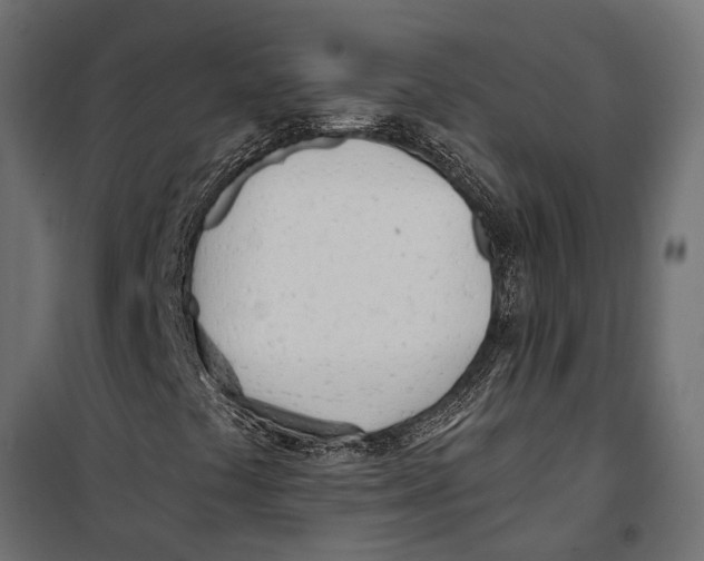 X0000099971441200806201350