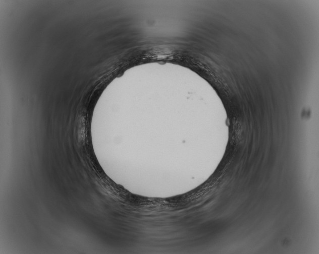 X0000099971442200806201350