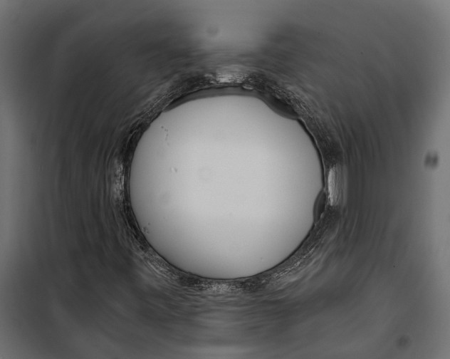 X0000099971443200806201350