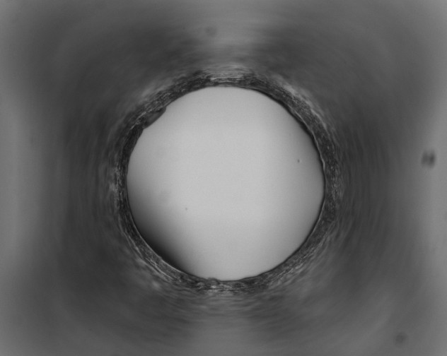 X0000099971445200806201350