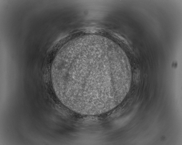 X0000099971446200806201349