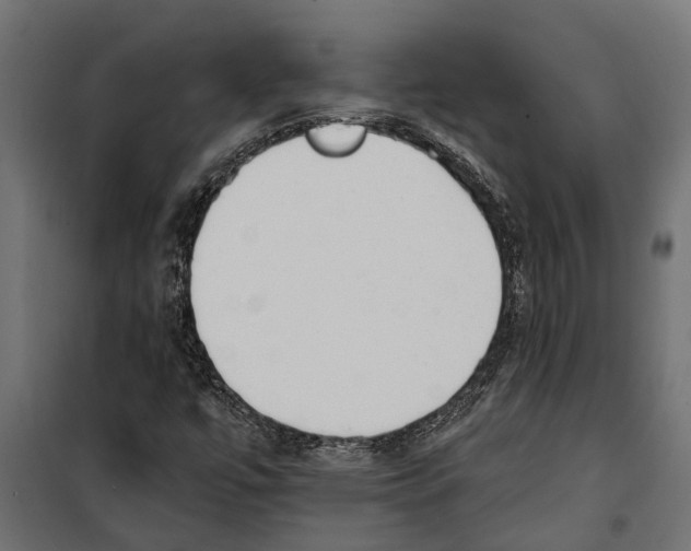 X0000099971447200806201349