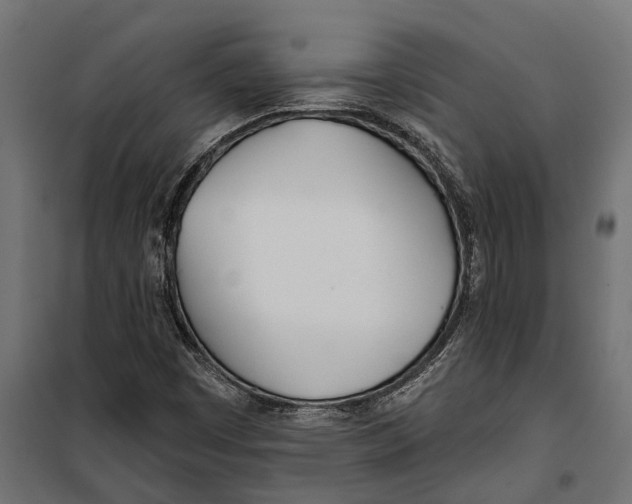 X0000099971449200806201349