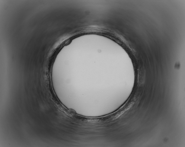 X0000099971453200806201349