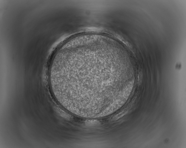 X0000099971454200806201349