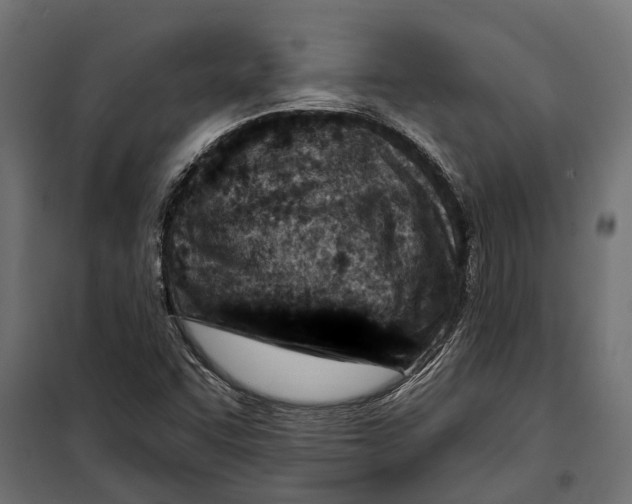 X0000099971455200806201349