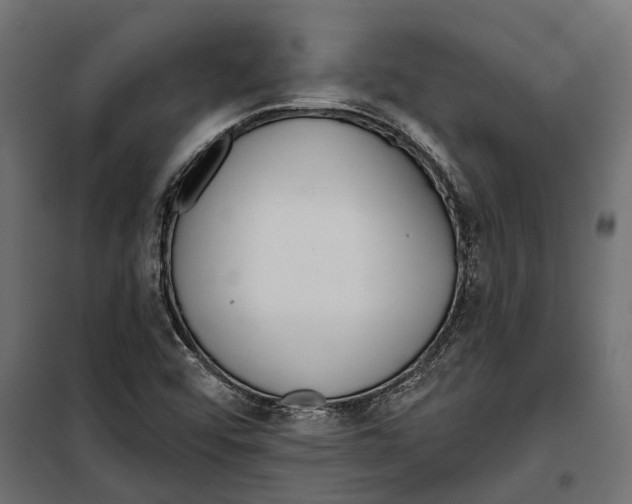 X0000099971456200806201349