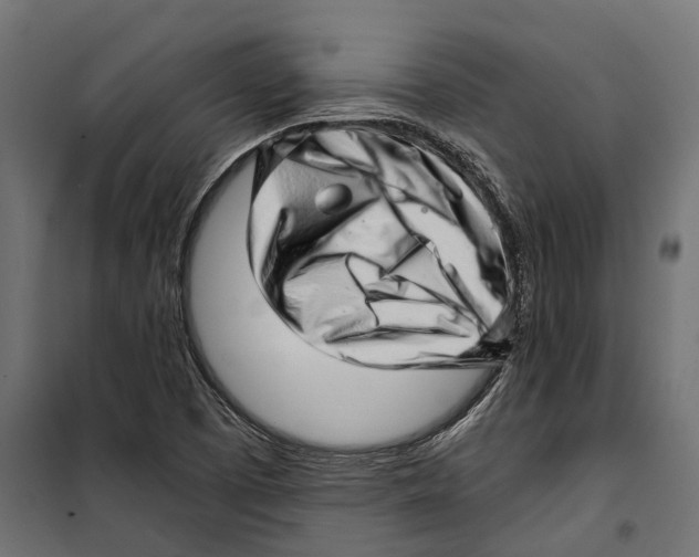 X0000099971457200806201349