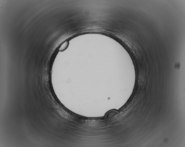 X0000099971458200806201349