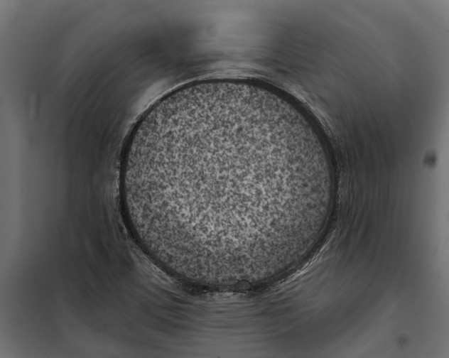 X0000099971459200806201349