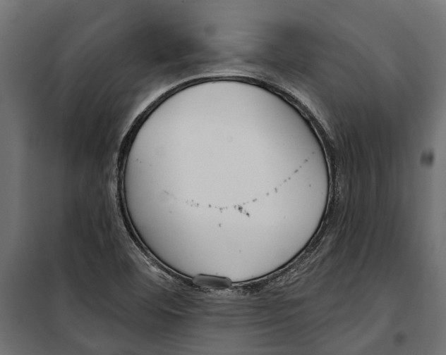 X0000099971460200806201349