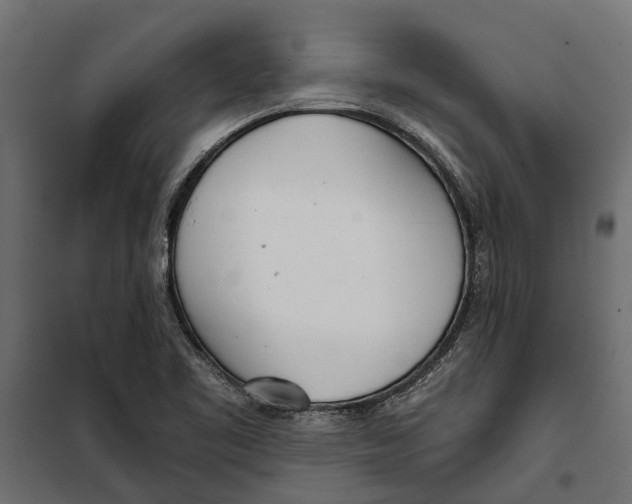 X0000099971461200806201349