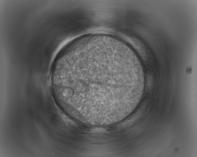 X0000099971462200806201349