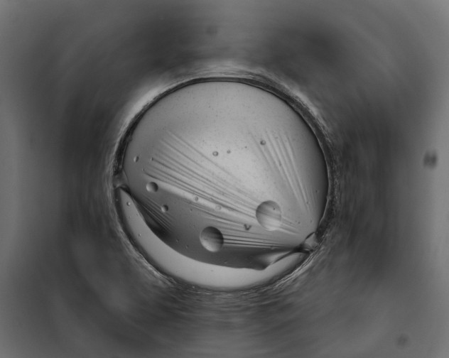 X0000099971463200806201349